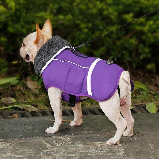 Dog coat with Velcro straps