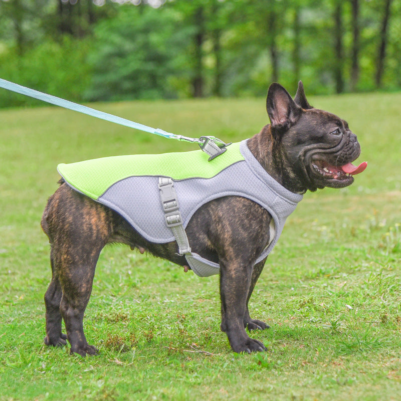 Dog cooling vest with buckle