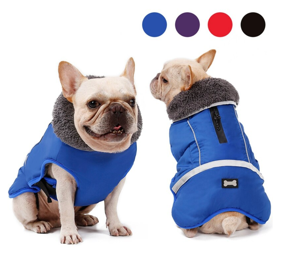 Dog winter coat