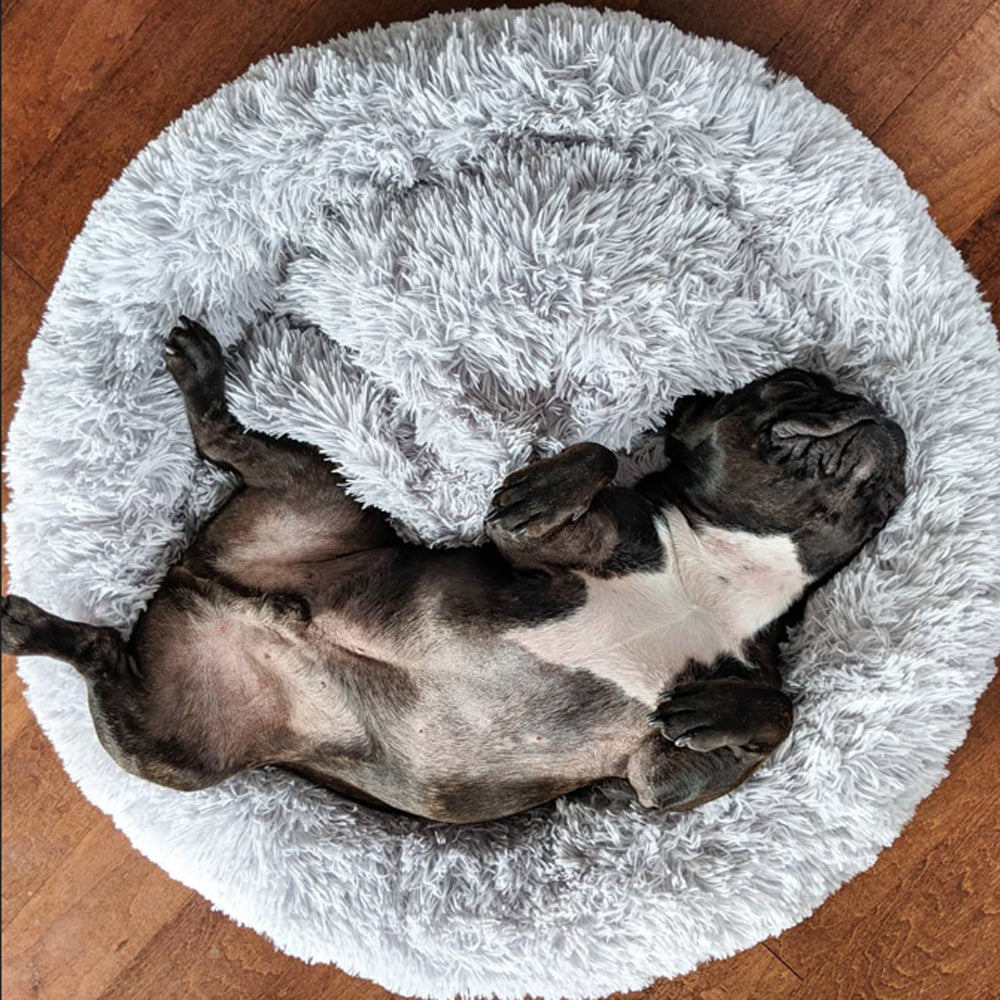 Donutly French Bulldog Bed 