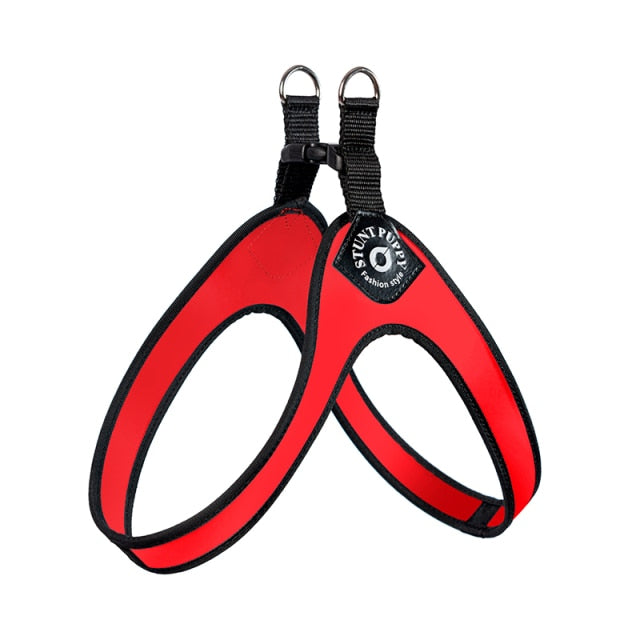 Easy-Walk™ - No Pull Bulldog Harness (WS601) 