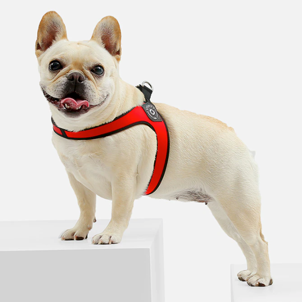 Easy-Walk™ - No Pull French Bulldog Harness (WS601) - Frenchie Bulldog Shop