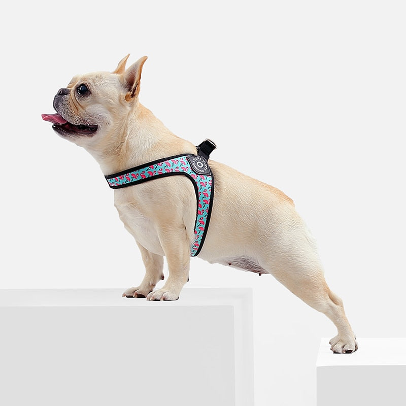 Easy-Walk™ - No Pull Harness 