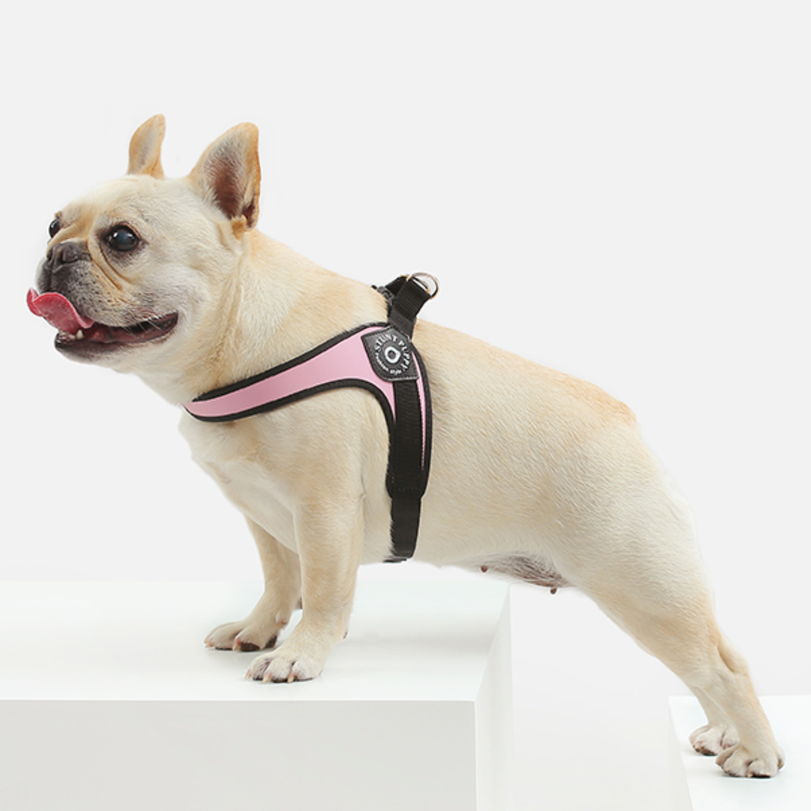Easy-Walk Harness