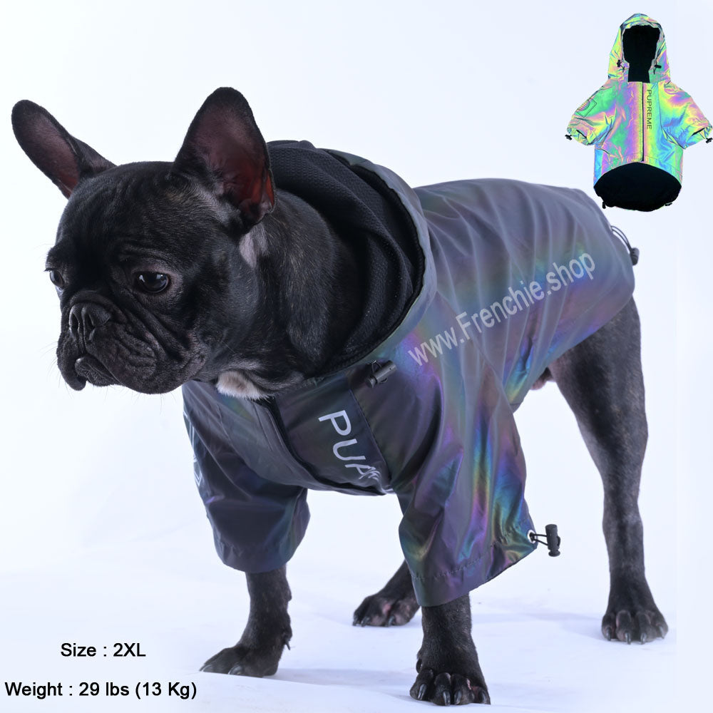 Reflective French Bulldog Jacket (WS39) - Frenchie Bulldog Shop