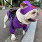 French Bulldog Undershirt Elastic Hoodie With Hat - Frenchie Bulldog Shop