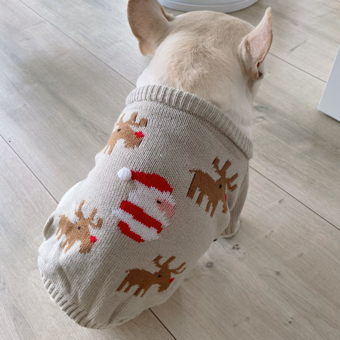 Festive French Bulldog Print sweater