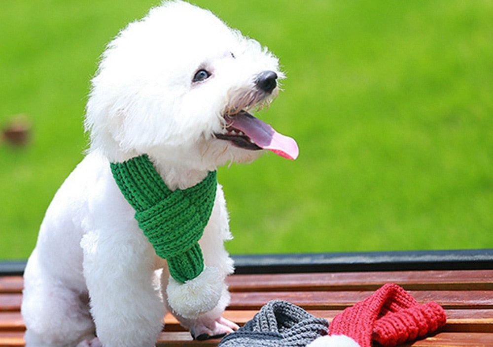 Festive knit dog scarf