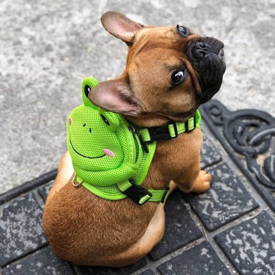 French Bulldog Backpack Harness Set - Frenchie Bulldog Shop