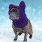 French Bulldog Soft Fleece Winter Hat - Frenchie Bulldog Shop
