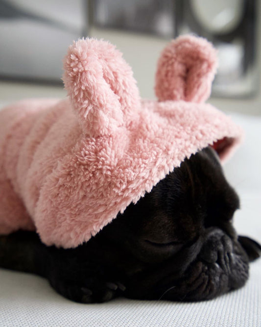 French Bulldog Bear Hoodie