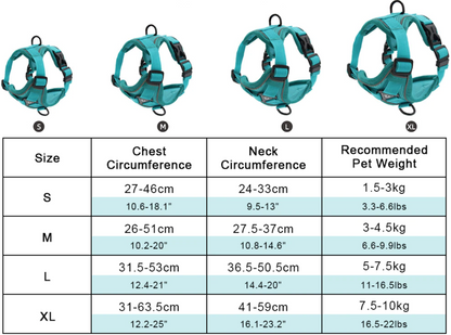 French Bulldog Harness Leash Set size