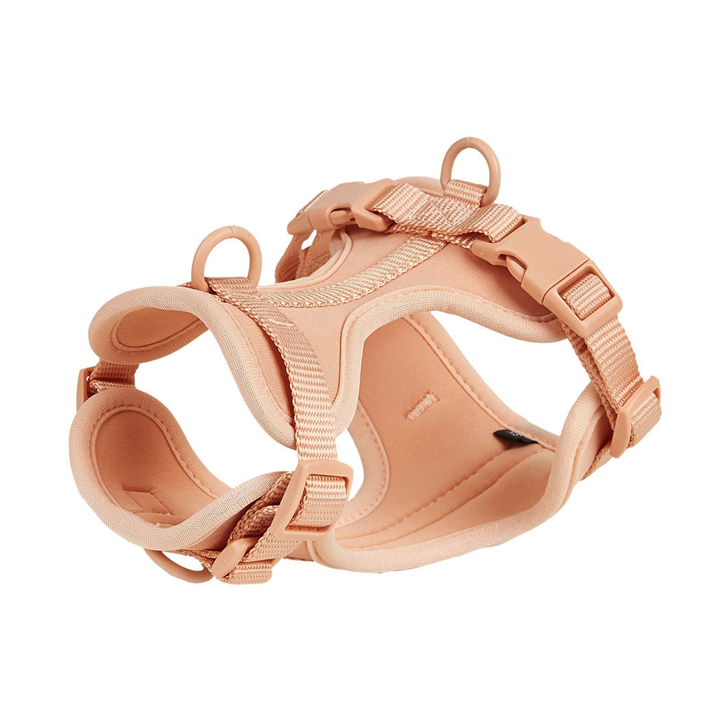 French Bulldog Harness with Leash Set