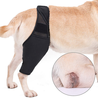 French Bulldog Knee Pads Support Brace