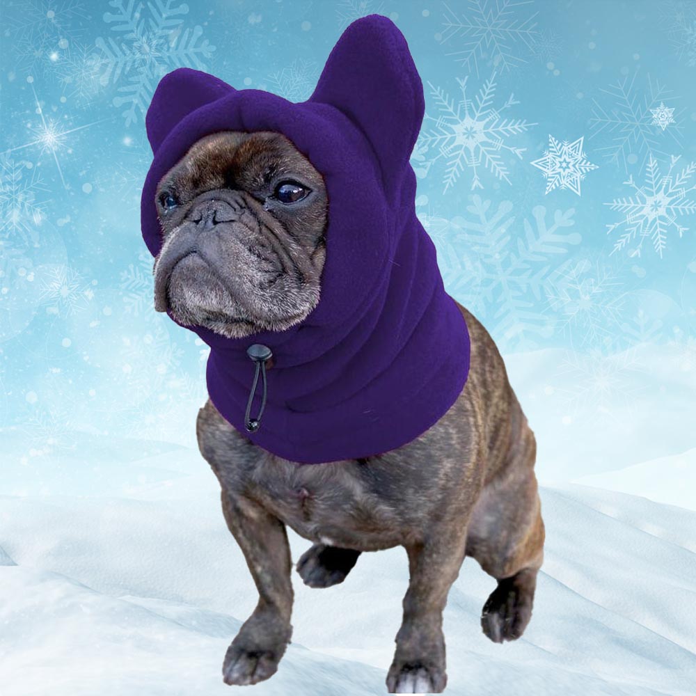 French Bulldog Soft Fleece Winter Hat