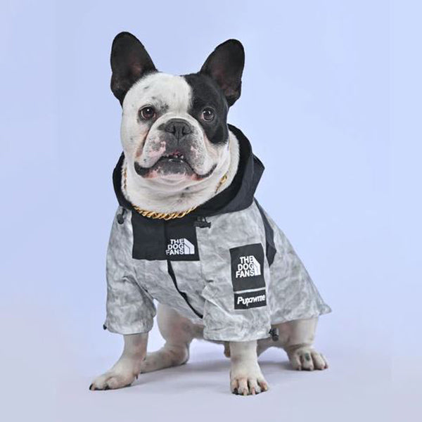 French Bulldog Trendy Raincoat