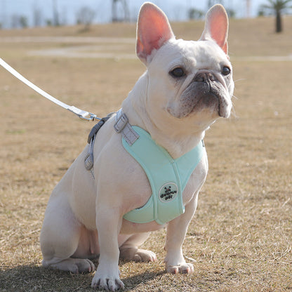 French Bulldog reflective harness