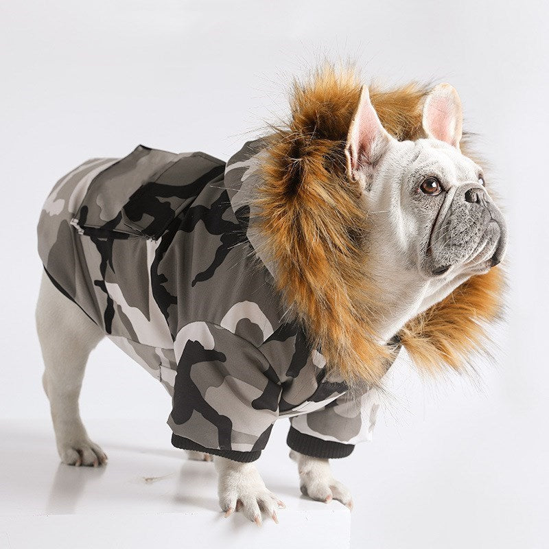 French Bulldog snowsuit