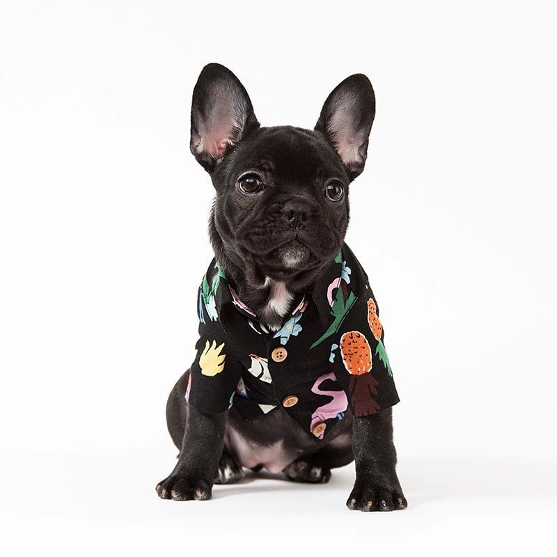 French Bulldog summer stylish shirt
