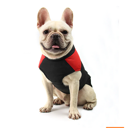  French Bulldog vest 