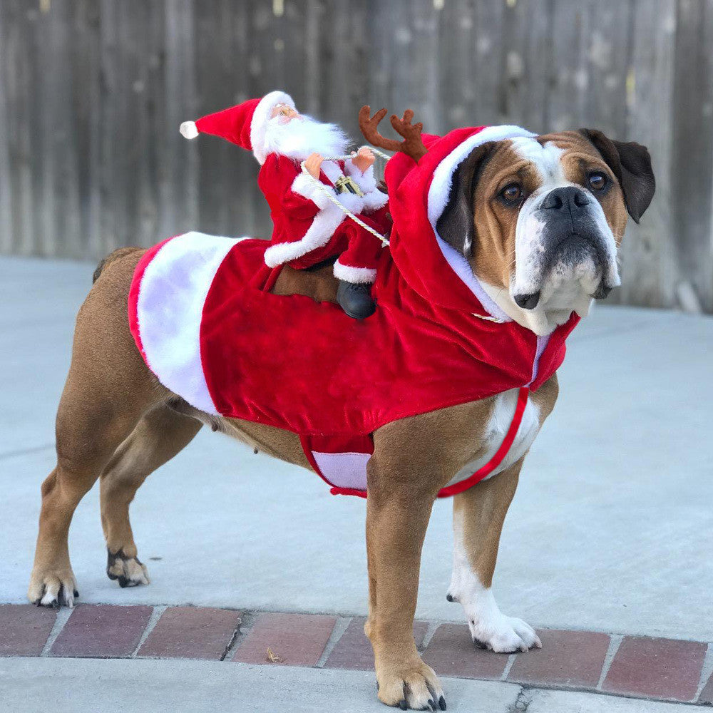 Christmas Funny Frenchie Clothes
