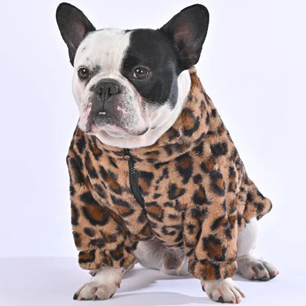 Dognest™ Frenchie Winter Sweater (WL010) - Frenchie Bulldog Shop