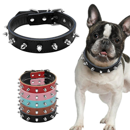 Frenchie Adjustable Collar