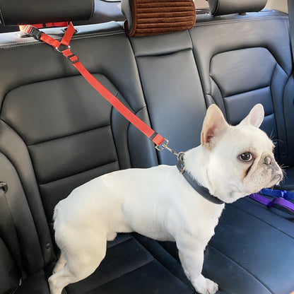 Frenchie Car Seat Belt harness