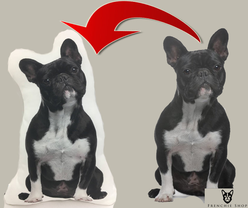 Frenchie Custom Pillow