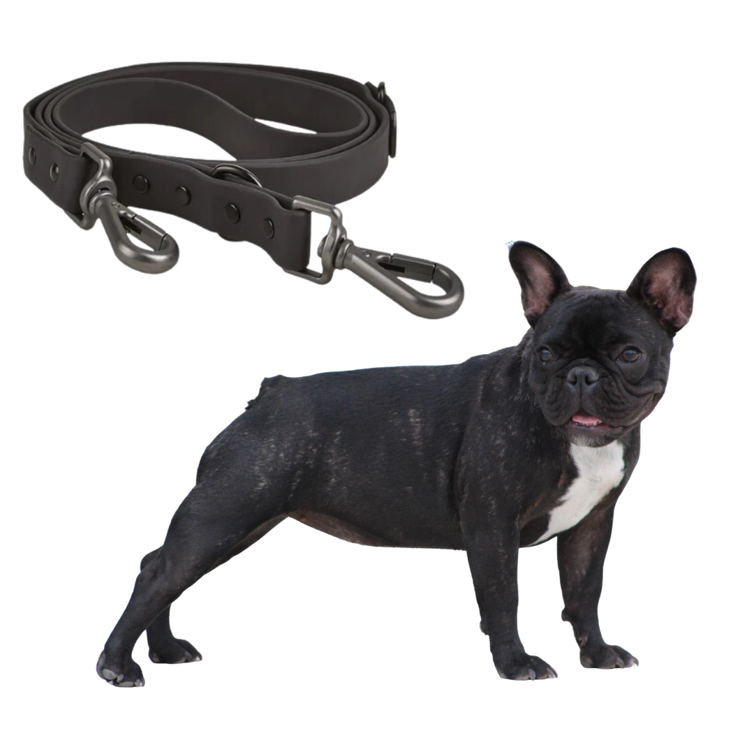 Frenchie Dog Harness and Leash Combo
