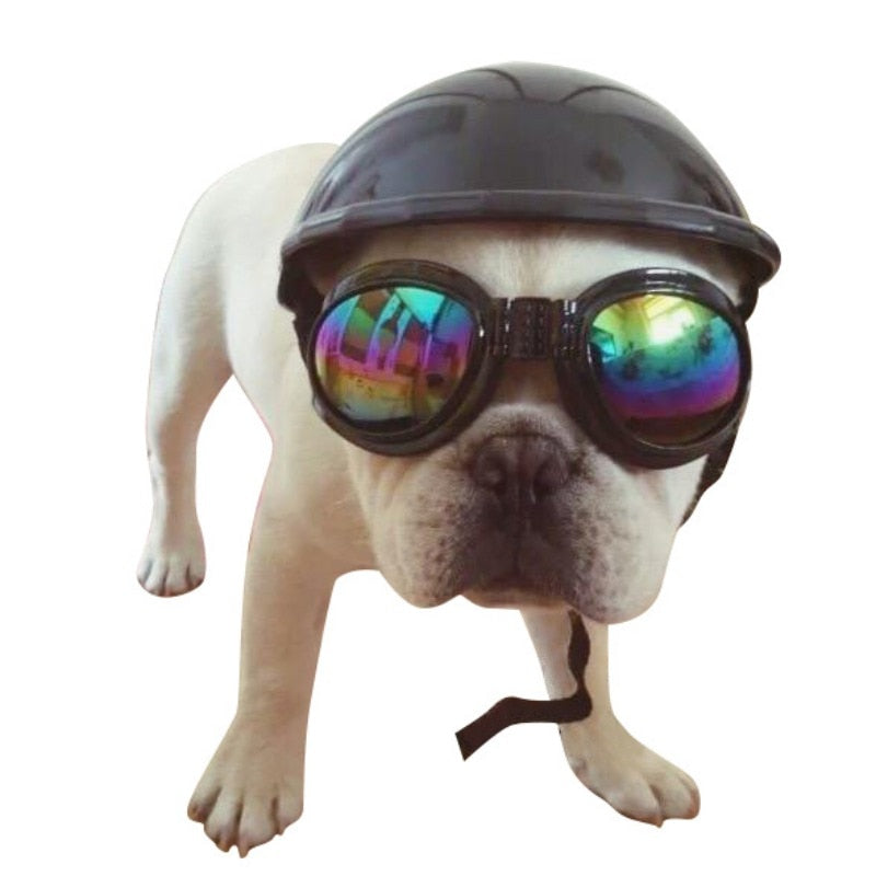 frenchie motorcycle helmet Frenchie Helmets (WS69)