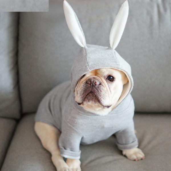 Adorable French Bulldog Rabbit Hoodie with Bunny Ears