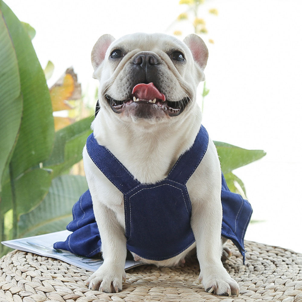 Frenchie Denim Dress Stylish Dog Outfit Frenchie Denim Dress Stylish Dog Outfit