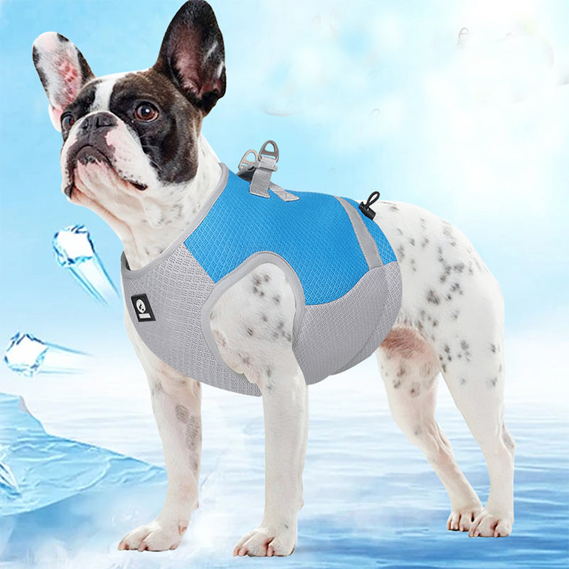 Frenchie Summer Cooling Vest
