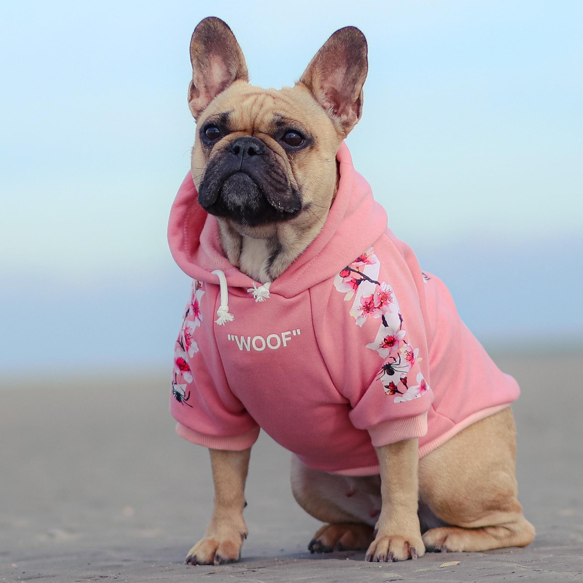 Frenchie Woof Hoodie