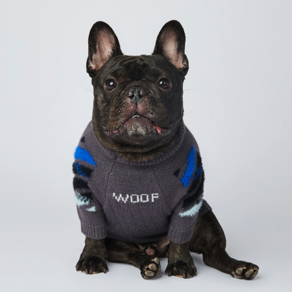 Frenchie Woof Sweater
