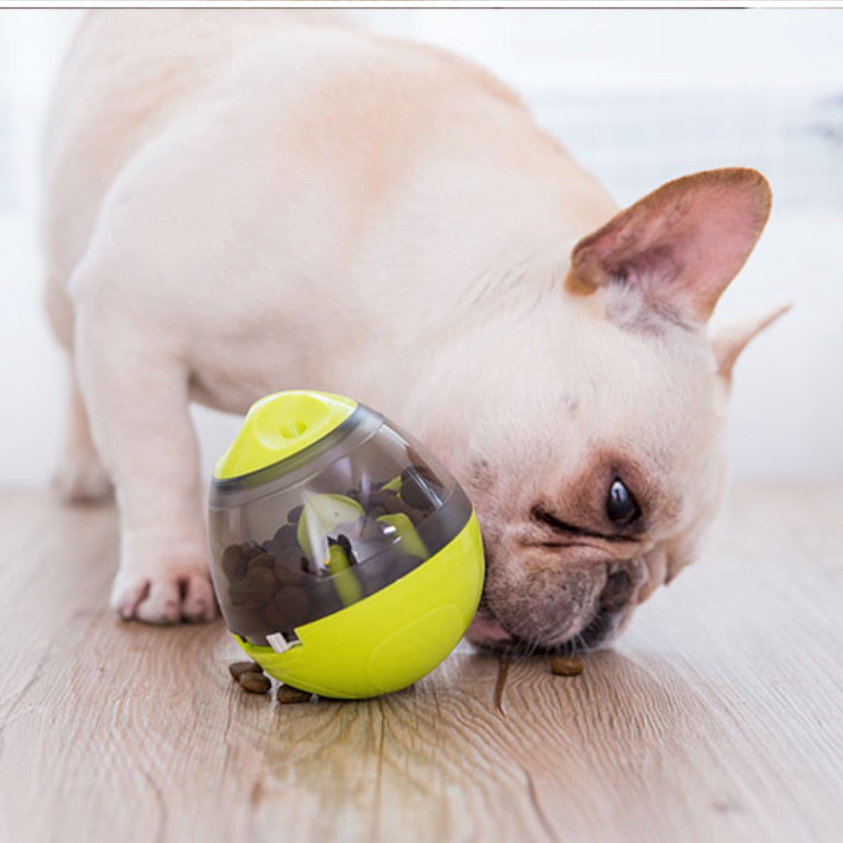 Frenchie iq treat ball