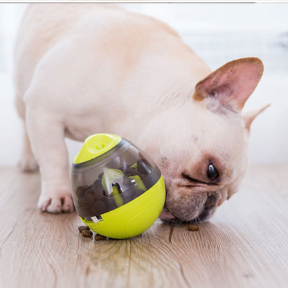 Frenchie iq treat ball