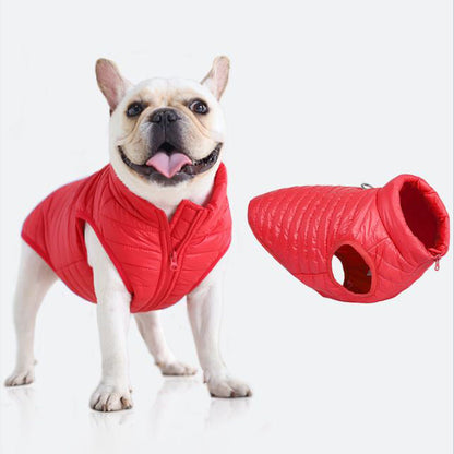Frenchie winter jacket