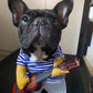 The Guitarist - Halloween Custom - Frenchie Bulldog Shop