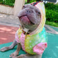 Luxury Waterproof Raincoat for French Bulldog (WJ05) - Frenchie Bulldog Shop