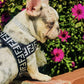 Luxury Harness and Leash (WS63) - Frenchie Bulldog Shop