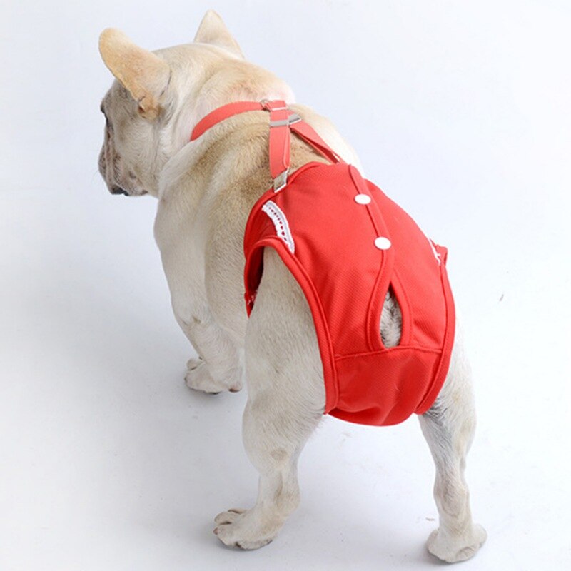 CleanPup-Frenchie-PhysiologicalPants-Premium-Sanitary-Panties-for-Dogs-www.frenchie.shop