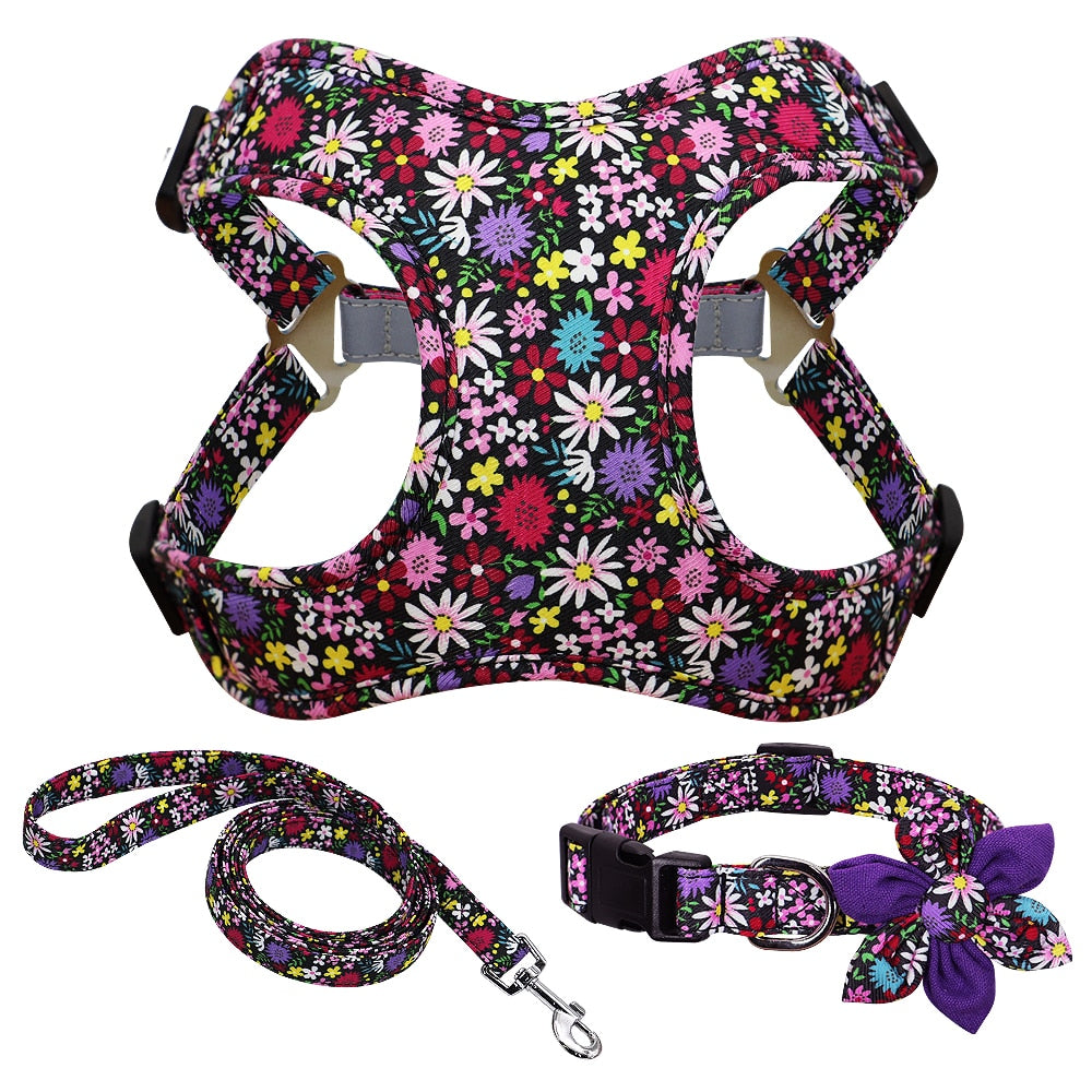 Flower Printed Harness Set for French Bulldog (WS243) - Frenchie Bulldog Shop