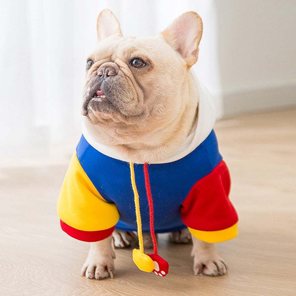 Super Hero French Bulldog Hoodie - Frenchie Bulldog Shop