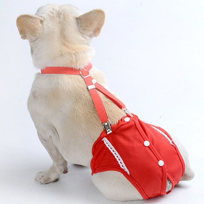 CleanPup-Frenchie-PhysiologicalPants-Premium-Sanitary-Panties-for-Dogs-www.frenchie.shop