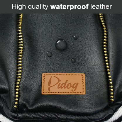 Leather French Bulldog Jacket 