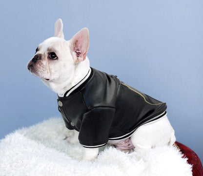 Leather Jacket for French Bulldog 