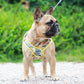 LucentLead Frenchie Adjustable Harness and Leash Set - French Bulldog Shop