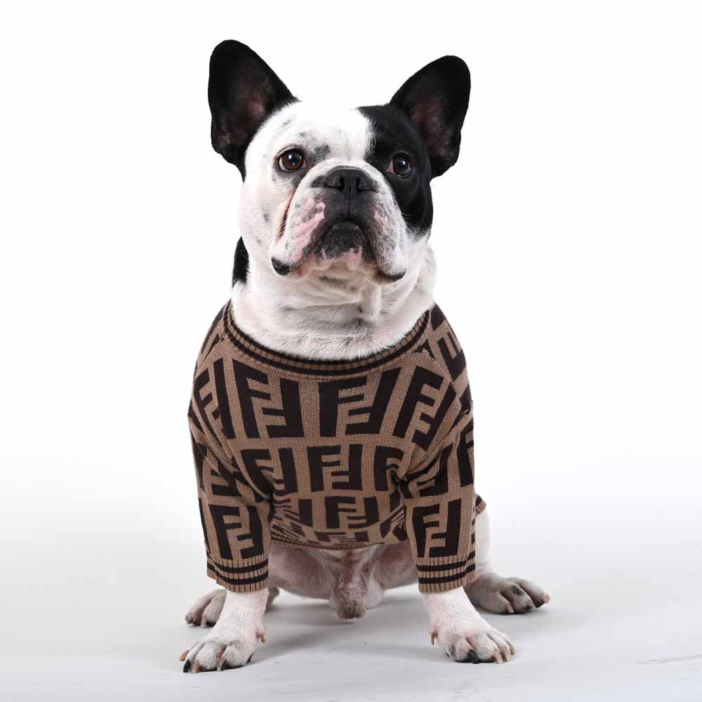 Luxury Sweater for French Bulldog (WS104) – frenchie Shop